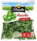 Rucola im Angebot bei REWE in St. Ingbert Rucola Angebote von Florette bei REWE St. Ingbert für 1,59 €