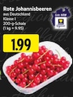 EDEKA Driedorf - Rote Johannisbeeren Angebot im Prospekt Rote Johannisbeeren bei EDEKA im Driedorf Prospekt für 1,99 €
