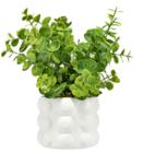 Plante artificielle dans le catalogue Gifi