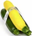 Bio Zucchini-Mix (gelb/grün) im Angebot bei GLOBUS in Erlangen Bio Zucchini-Mix (gelb/grün) Angebote bei GLOBUS Erlangen