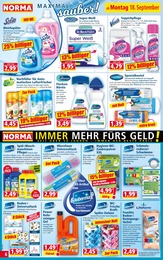 Waschmittel im Norma Prospekt "Mehr fürs Geld" auf Seite 6
