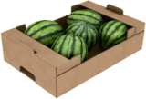 Wassermelonen bei METRO im Brandenburg Prospekt für 2,69 €