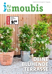 Ähnliche Angebote wie Terrassendielen im Prospekt "DEINE BLÜHENDE TERRASSE" auf Seite 1 von Moubis Pflanzenhof in Dülmen