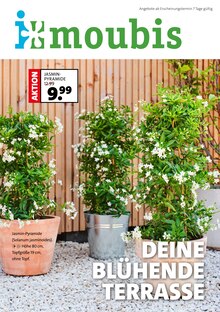 Pflanzen im Moubis Pflanzenhof Prospekt "DEINE BLÜHENDE TERRASSE" mit 8 Seiten (Münster)