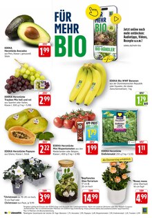 Bananen im EDEKA Prospekt "Aktuelle Angebote" mit 75 Seiten (Darmstadt)