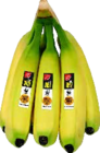 Aktuelle Bananen Angebote bei E center in Pforzheim Aktuelles Bananen Angebot bei E center in Pforzheim ab 1,00 €