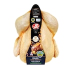 Poularde fermière d'Auvergne I.G.P. Label Rouge Filière Qualité - CARREFOUR EXTRA dans le catalogue Carrefour