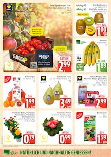 Pflanzen im Marktkauf Prospekt "Top Angebote" mit 36 Seiten (Hamburg)