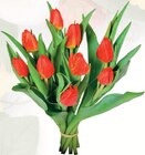 Bouquet 9 Tulipes - Fleurs de France en promo à 3,49 € chez Netto Bouquet 9 Tulipes - Fleurs de France dans le catalogue Netto