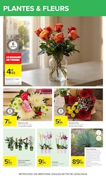 Prix et réduction Plante D'intérieur dans le prospectus Carrefour en cours Offre Plante D'intérieur dans le catalogue Carrefour du moment à la page 82
