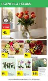 Orchidée en promo dans le catalogue Carrefour à la page 82