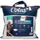Oreiller "stop poux" - COLAS NORMAND - Hyper U à Béziers Oreiller "stop poux" - COLAS NORMAND en promo chez Hyper U Béziers à 8,45 €