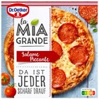 La Mia Grande Salame Piccante Angebote von Dr. Oetker bei REWE Saarlouis für 3,49 €