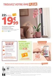 Offre Phalaenopsis dans le catalogue Jardiland du moment à la page 8