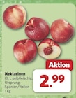 combi Emden - Nektarinen Angebot im Prospekt Nektarinen bei combi im Emden Prospekt für 2,99 €