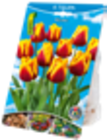 Blumenzwiebeln im Angebot bei Kaufland in Leinfelden-Echterdingen Blumenzwiebeln Angebote bei Kaufland Leinfelden-Echterdingen für 1,49 €