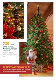 Prix et réduction Sapin Noël dans le prospectus Botanic en cours Offre Sapin Noël dans le catalogue Botanic du moment à la page 6