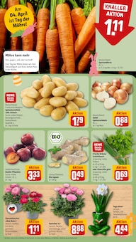 Gemüse im REWE Prospekt "Dein Markt" mit 20 Seiten (Pforzheim)