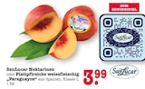 Aktuelle Nektarinen Angebote bei E center in Mannheim Aktuelles Nektarinen Angebot bei E center in Mannheim ab 3,99 €