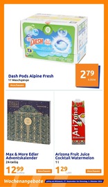 Weihnachten im Action Prospekt in Homburg Aktueller Action Prospekt mit Weihnachten, "kleine Preise, grosse Freude!", Seite 21