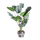 B&M Mondeville - Promo Plante pot chrome Promo Plante pot chrome à 14,99 € dans le catalogue B&M à Mondeville