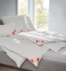 Aktuelles Feder- und Daunenkissen ca. 900 g 80 x 80 cm Angebot bei Matratzen Concord in Aachen ab 29,90 €