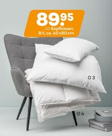 Möbel Kraft Teutschenthal - 3-Kammer-Kopfkissen oder Kassettendecke "Belja" 3-Kammer-Kopfkissen oder Kassettendecke "Belja" Angebot bei Möbel Kraft Teutschenthal im Prospekt Schöner Aufwachen. Mit traumhaften Bettwaren und Zubehör.