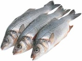 Aktuelle Lachs Angebote bei E center in Münster Aktuelles Lachsspieße Hawaii Angebot bei E center in Münster ab 1,49 €