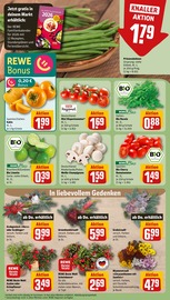 Pflanzen im REWE Prospekt in Bergkamen Aktueller REWE Prospekt mit Pflanzen, "Dein Markt", Seite 7