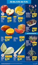 Pflanzen Angebot im aktuellen Lidl Prospekt auf Seite 5