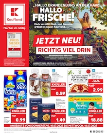 Aktueller Kaufland Prospekt "Aktuelle Angebote" Seite 1 von 56 Seiten für Brandenburg