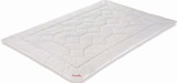 Light-Bettdecke oder Feder Kopfkissen Angebote von Paradies bei Möbel Inhofer Konstanz für 45,00 €