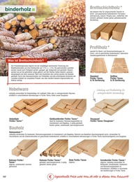 Holz Angebot im aktuellen toom Baumarkt Prospekt auf Seite 100