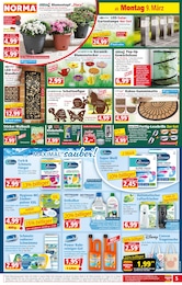 Bilder Angebot im aktuellen Norma Prospekt auf Seite 5
