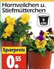 Wreesmann - Hornveilchen u. Stiefmütterchen Angebot im Prospekt Hornveilchen u. Stiefmütterchen bei Wreesmann im Prospekt "" für 0,55 €