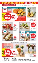 Offre Plante Verte dans le catalogue Super U du moment à la page 30