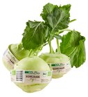 Bio Kohlrabi Angebote von REWE Bio bei REWE Witten für 0,88 €