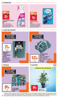 Promotion Plante Verte dans le prospectus Netto, valable du 08/09/2026 au 14/09/2026 Promo Plante Verte dans le catalogue Netto du moment à la page 18