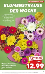Blumen im Kaufland Prospekt Blumen im Kaufland Prospekt Aktuelle Angebote auf S. 53