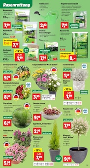 Blumentopf im Thomas Philipps Prospekt "Top Angebote" mit 14 Seiten (Karlsruhe)