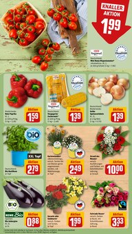 Pflanzen im aktuellen REWE Prospekt (Fürth) Pflanzen im REWE Prospekt "Dein Markt" mit 26 Seiten (Fürth)