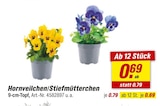 Hornveilchen/Stiefmütterchen bei toom Baumarkt im Krumbach Prospekt für 0,69 €