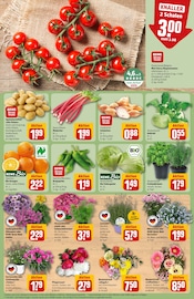 Salat im REWE Prospekt in Frankfurt Aktueller REWE Prospekt mit Salat, "Dein Markt", Seite 5