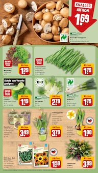 Staubsauger im REWE Prospekt "Dein Markt" mit 26 Seiten (Saarbrücken)