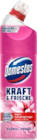 Kraft & Frische WC Gel Floral Fresh Angebote von Domestos bei EDEKA Stralsund für 1,59 €