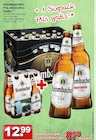 Aktuelles Pils Angebot bei Getränke Paradies in Lünen ab 8,00 €
