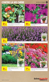 Plantes Angebote im Prospekt "MERVEILLEUSES PÂQUES" von Intermarché Super auf Seite 19