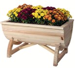 Holz-Blumenkasten im Angebot bei Wreesmann in Aurich Holz-Blumenkasten Angebote bei Wreesmann Aurich für 3,49 €