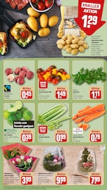 Aktueller REWE Prospekt mit Garten, "Dein Markt", Seite 9