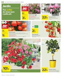 Offre Rhododendron dans le catalogue Carrefour du moment à la page 32